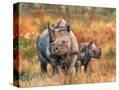 Stretched Canvas