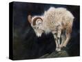 Stretched Canvas