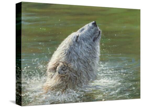Stretched Canvas Print, , large