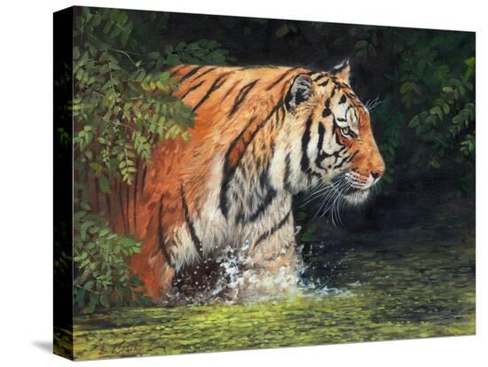 Stretched Canvas Print, , large