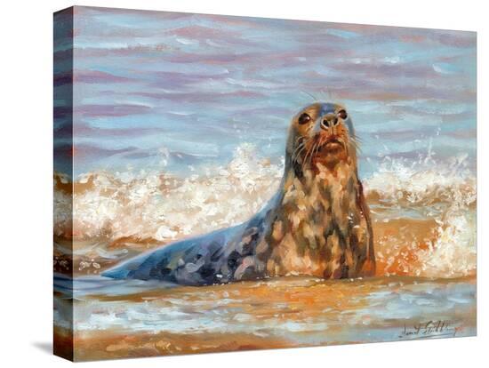 Stretched Canvas Print, , large