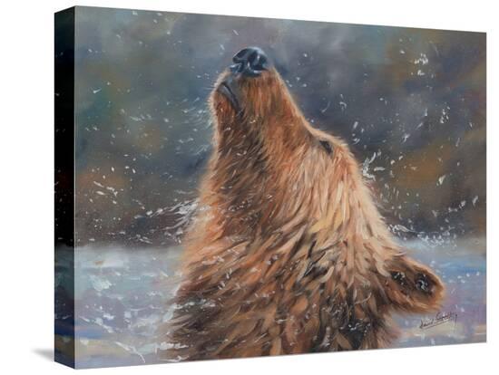 Stretched Canvas Print, , large