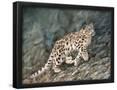 Essential Black