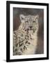 Gramercy Black