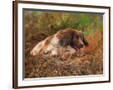 Chelsea Espresso