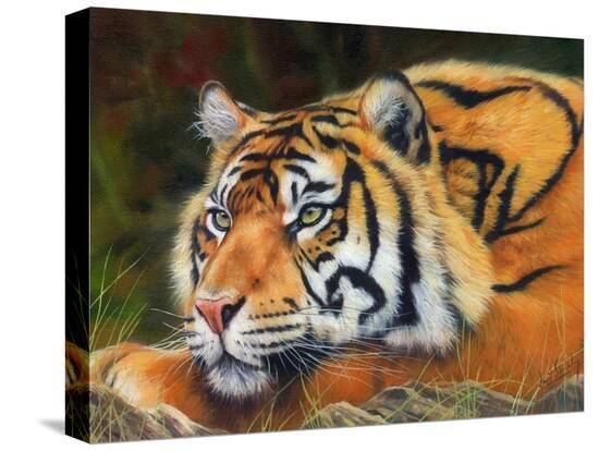 Stretched Canvas Print, , large