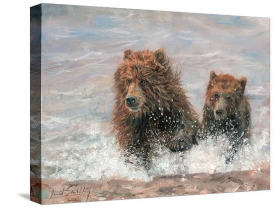 Stretched Canvas Print, , large