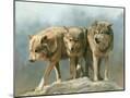 Wood Mount