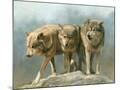 Wood Mount