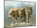 Wood Mount
