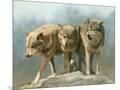 Wood Mount