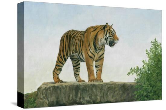 Stretched Canvas Print, , large