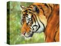Stretched Canvas