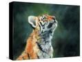Stretched Canvas