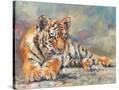 Stretched Canvas