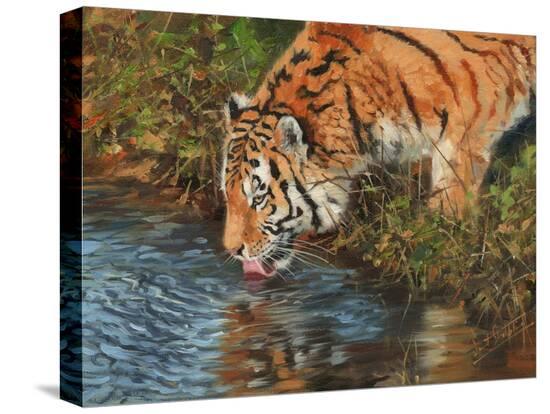 Stretched Canvas Print, , large