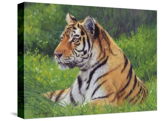 Stretched Canvas Print, , large