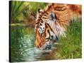Stretched Canvas