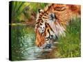 Stretched Canvas