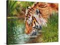 Stretched Canvas