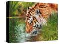 Stretched Canvas