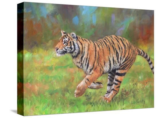 Stretched Canvas Print, , large
