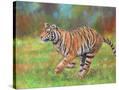 Stretched Canvas