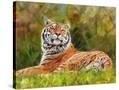 Stretched Canvas