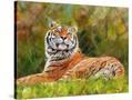 Stretched Canvas