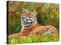 Stretched Canvas