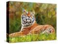 Stretched Canvas