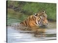 Stretched Canvas