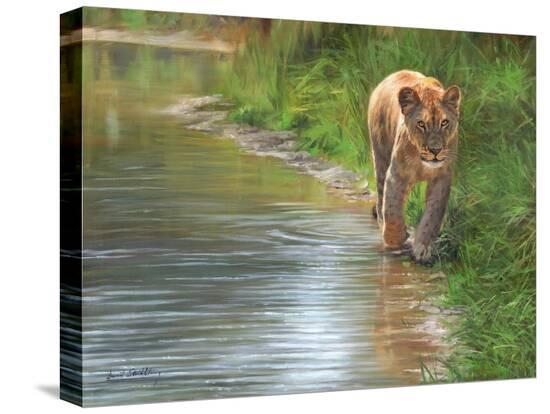 Stretched Canvas Print, , large