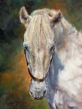 Wild Horses-David Stribbling-Art Print