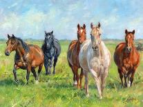 Wild Horses-David Stribbling-Art Print