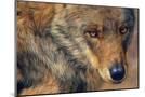 Wood Mount