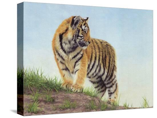 Stretched Canvas Print, , large