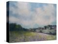 Stretched Canvas