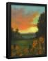 Essential Black