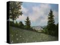 Stretched Canvas