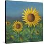 Stretched Canvas