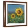 Brown Frame