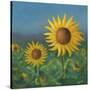 Stretched Canvas