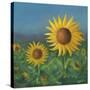Stretched Canvas