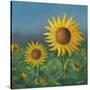 Stretched Canvas