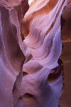 The colourful Navajo sandstone walls of Lower Antelope Canyon-David Tomlinson-Photographic Print