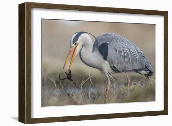 David Vs Goliat-Geir Jartveit-Framed Photographic Print