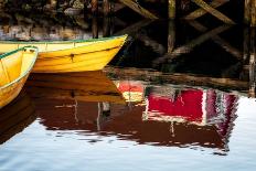 Water Lilies and Reflection-David W^ Pollard-Photographic Print