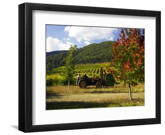 Premium Photographic Print, , large
