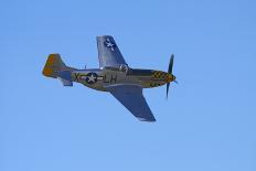 P-51 Mustang, American Fighter Plane, War Plane-David Wall-Photographic Print